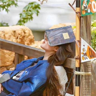 诚实国度的爱丽丝